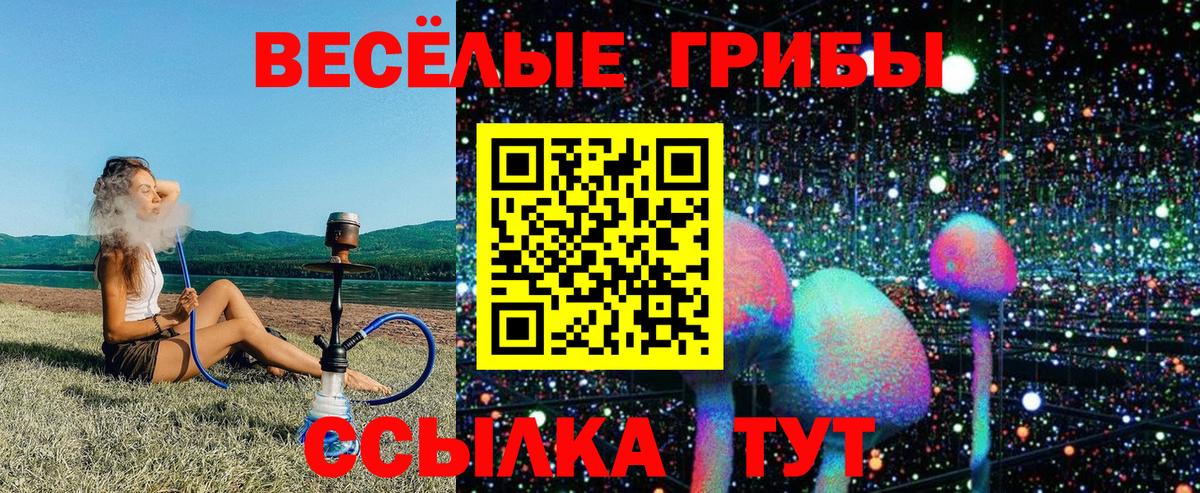 Галлюциногенные грибы мухоморы Туймазы