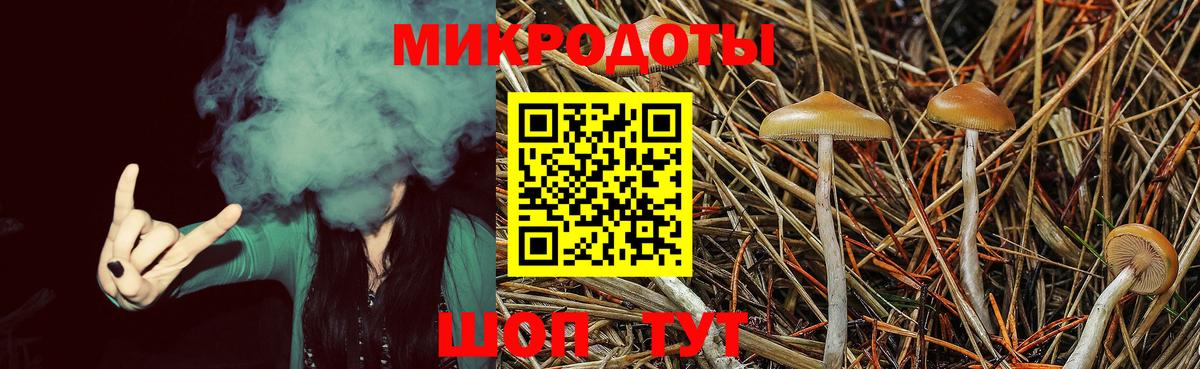 Галлюциногенные грибы Psilocybine cubensis  Вход с VPN  где продают наркотики  Туймазы 